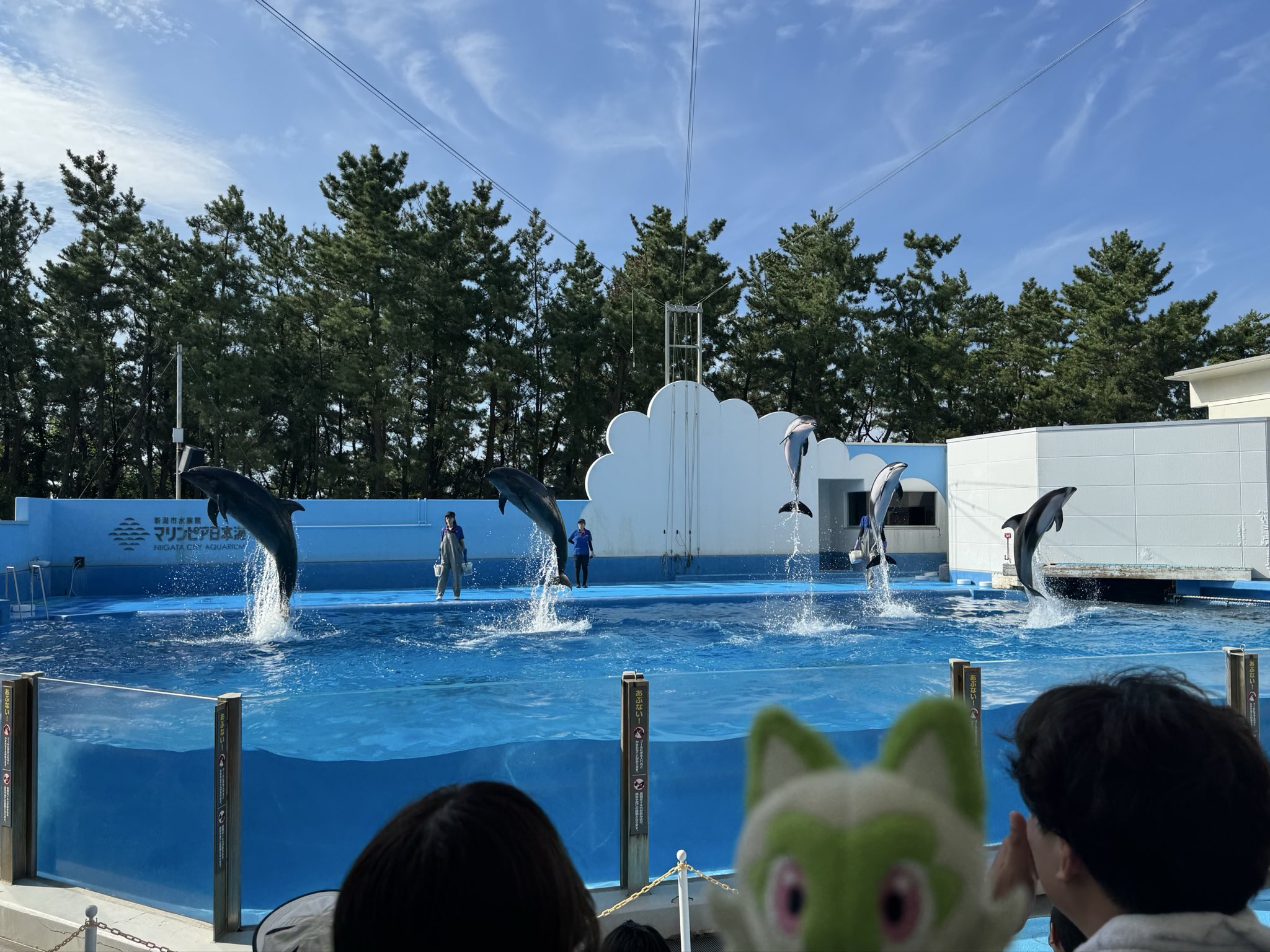にゃほにゃほ on X: 