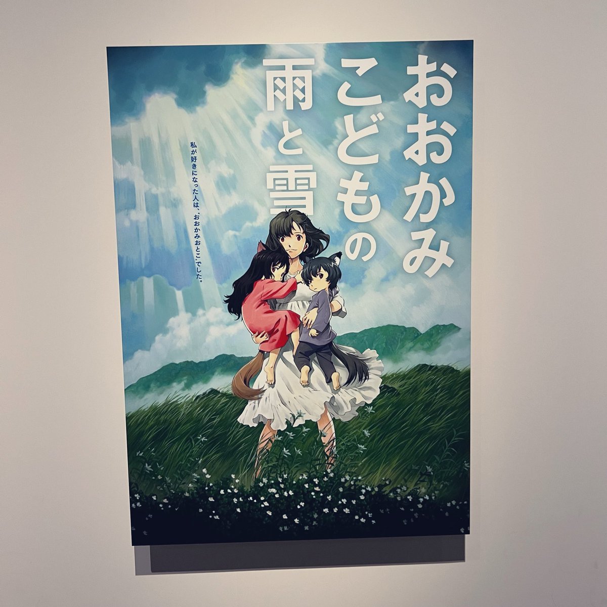 kowaremonoo's tweet photo. おおかみこども！！！！☺️ https://t.co/3pTmucmIeM