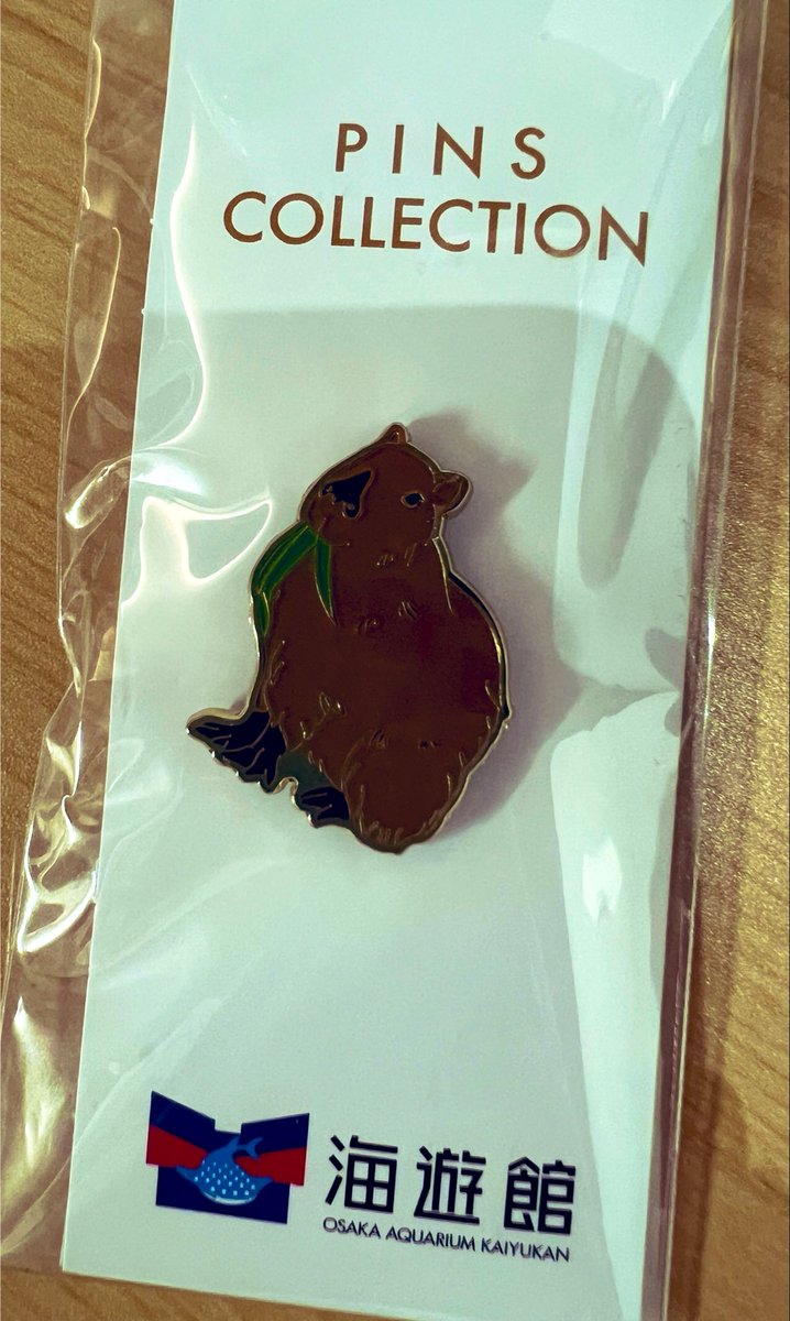 tono_01's tweet photo. 家片付けていたら出てきたいつ買ったか記憶にないカピピンバッジ
最後に海遊館行ったのもう何年前よ… https://t.co/kHJoGOEL0x