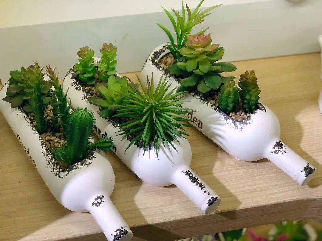 StephanieLsbmc's tweet photo. Just finished this cute upcycled jar planter—turned an old coffee jar into a cozy home for my succulent! Quick, zero-waste DIY win , you should try it too! https://t.co/8BsmfHvPEC