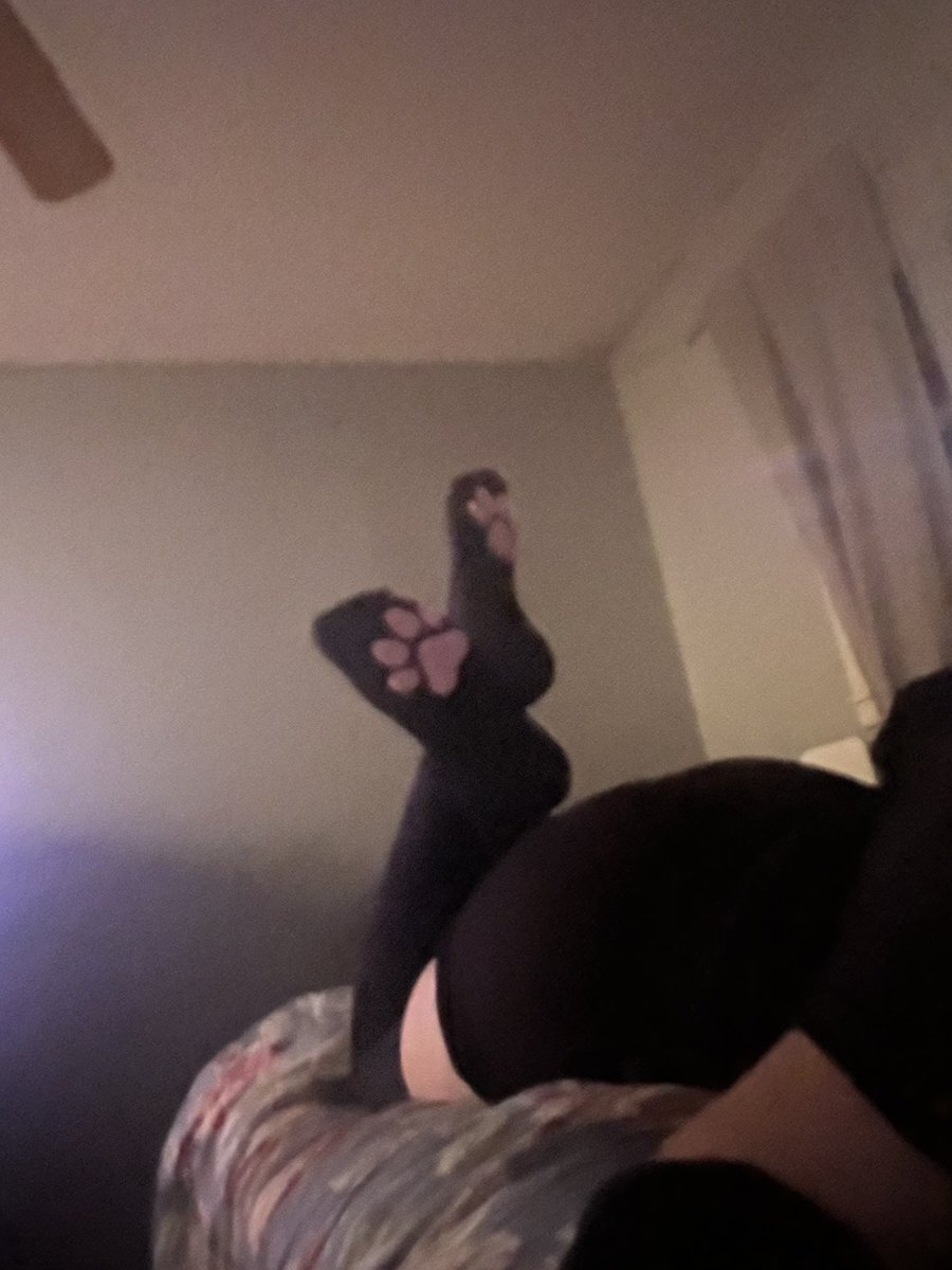 BelugaDaCatAD's tweet photo. Some more cake for you guys :3 #femboy #ass #thick #suggestive https://t.co/aLvC4isBaI
