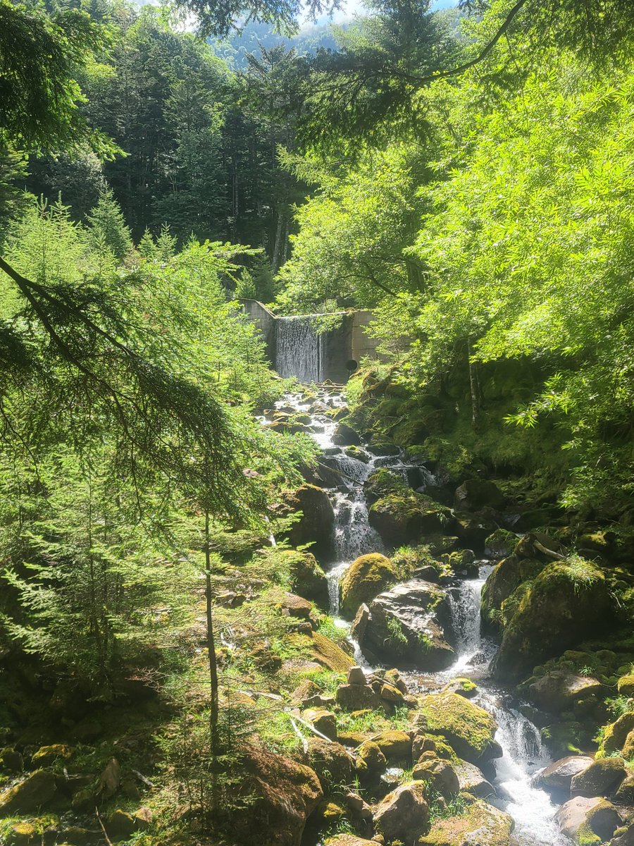 magu6oo's tweet photo. 12:35 無事下山しました〜.ᐟ。
今回は八ヶ岳の主峰 赤岳と阿弥陀岳に行ってきました〜…。
あ、阿弥陀岳は主峰じゃないですよ(笑)、でも結構登る道は厳しいですよ〜…。
下の写真は4枚に厳選するのにめっさ時間かかったZEw。
#登山 #八ヶ岳 #南八ヶ岳 https://t.co/8nLQACAmFi