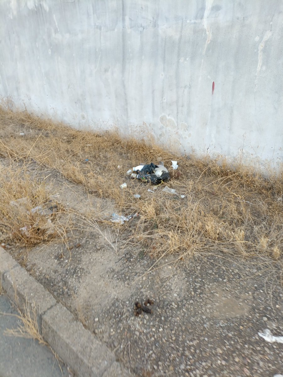 Chinestr's tweet photo. Paseando por la avenida de San Agustín, de Mairena del Alcor (Sevilla), premio escoba de plata por su buena gestión de limpieza (?) me pregunto cuándo pasa este año esa escoba por aquí.
La garrafa de aceite lleva ahí desde el invierno pasado.
Esto ya es un problema de salud. https://t.co/Ktm88lp4pg
