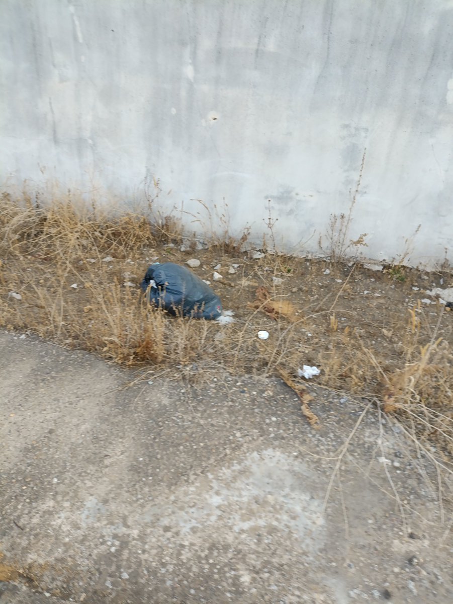 Chinestr's tweet photo. Paseando por la avenida de San Agustín, de Mairena del Alcor (Sevilla), premio escoba de plata por su buena gestión de limpieza (?) me pregunto cuándo pasa este año esa escoba por aquí.
La garrafa de aceite lleva ahí desde el invierno pasado.
Esto ya es un problema de salud. https://t.co/Ktm88lp4pg