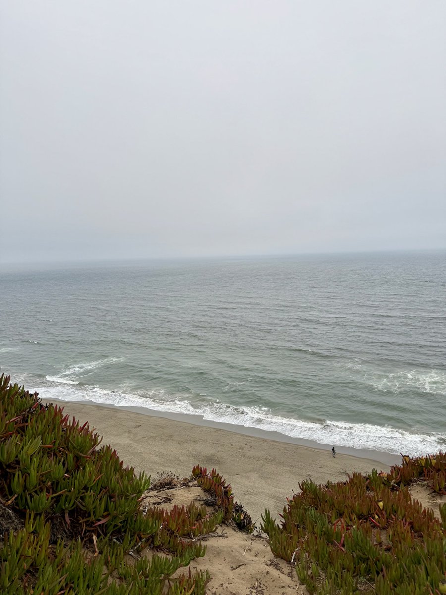 gnarheads's tweet photo. 200 foot sheer drop, loose sandy edge and windy. Nope. Mosciun stayed in the pocket for this one 😳🌊🪂 https://t.co/w7EmXNsRdW