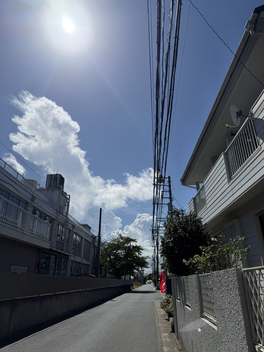 ichimi93's tweet photo. 夏い。 https://t.co/L7o5DlVp3n