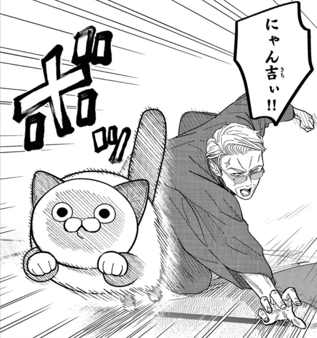 oyazitonyankiti's tweet photo. 世界猫の日🌍 https://t.co/MuND3zsjOp