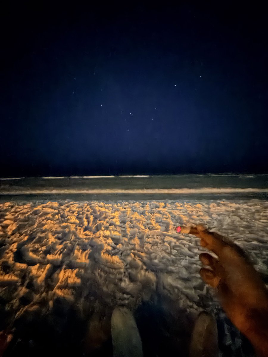 JHolmes0925's tweet photo. 🏝️ cuz why not https://t.co/DPVeKv52ZO