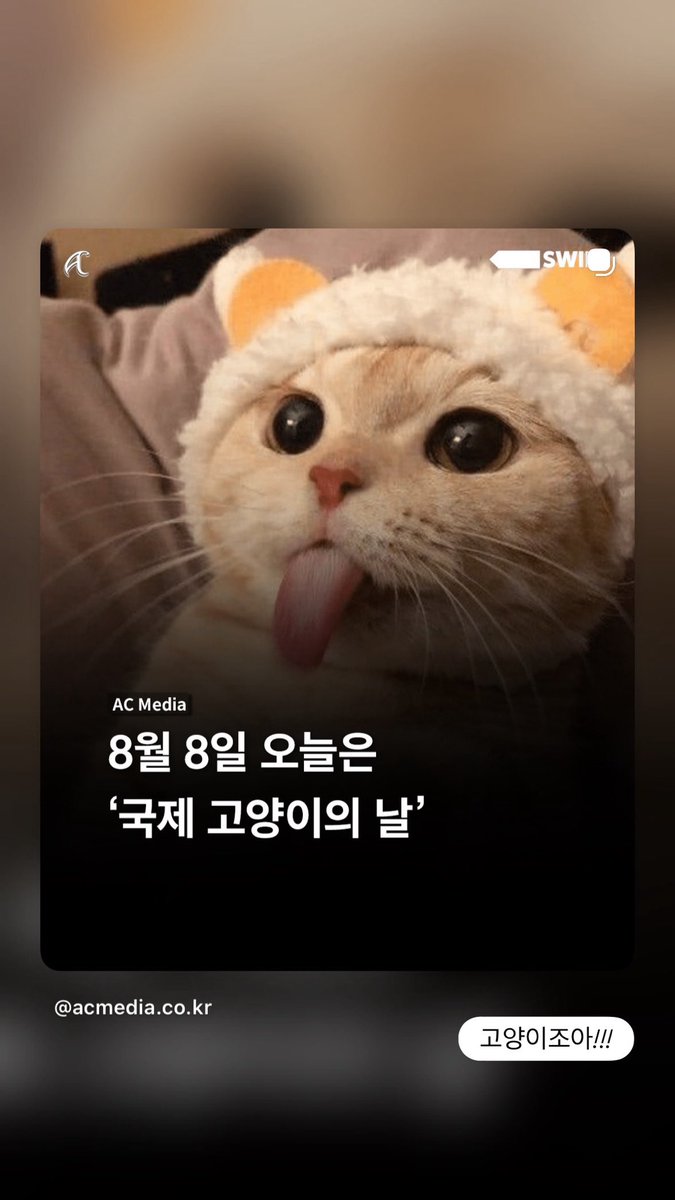 2cowsun_archive's tweet photo. 260808 ✩⡱
배우님 인스타그램 스토리 https://t.co/KDHQLVN7cZ