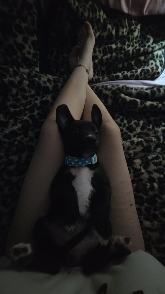 Zip_b1tes's tweet photo. more cutspo plus pup
#cutspo https://t.co/TDLYXBhWoQ