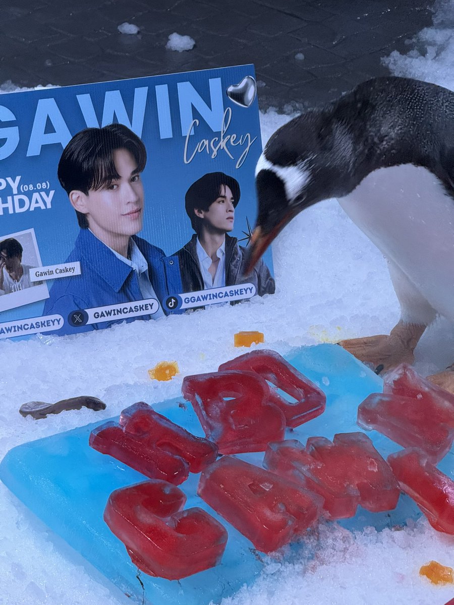 SUJUnezfan's tweet photo. Hiiiiiii Gawin and Friends (👋🏻)
#Growing29WithGawin

Birthday Project น่ารักมาก ㅠㅡㅠ
เจอเพื่อนกวินเต็มเลย กินเยอะ ๆ นะ จะได้โตไว ๆ 

#GawinCaskey 
#AFishForPenGAWIN https://t.co/TOd4B7xtTZ