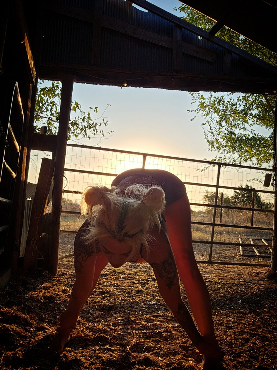 AndiWildKink's tweet photo. I've alwyas lived in a place where I could walk outside and fill a pot full of dirt for some new plants anytime i wanted....π€·πΌββοΈ
Im still getting used to this city/desert life lol
#countrygirl #dirtrich -- #bigcity #desert #dragoness https://t.co/efisR5ztzE