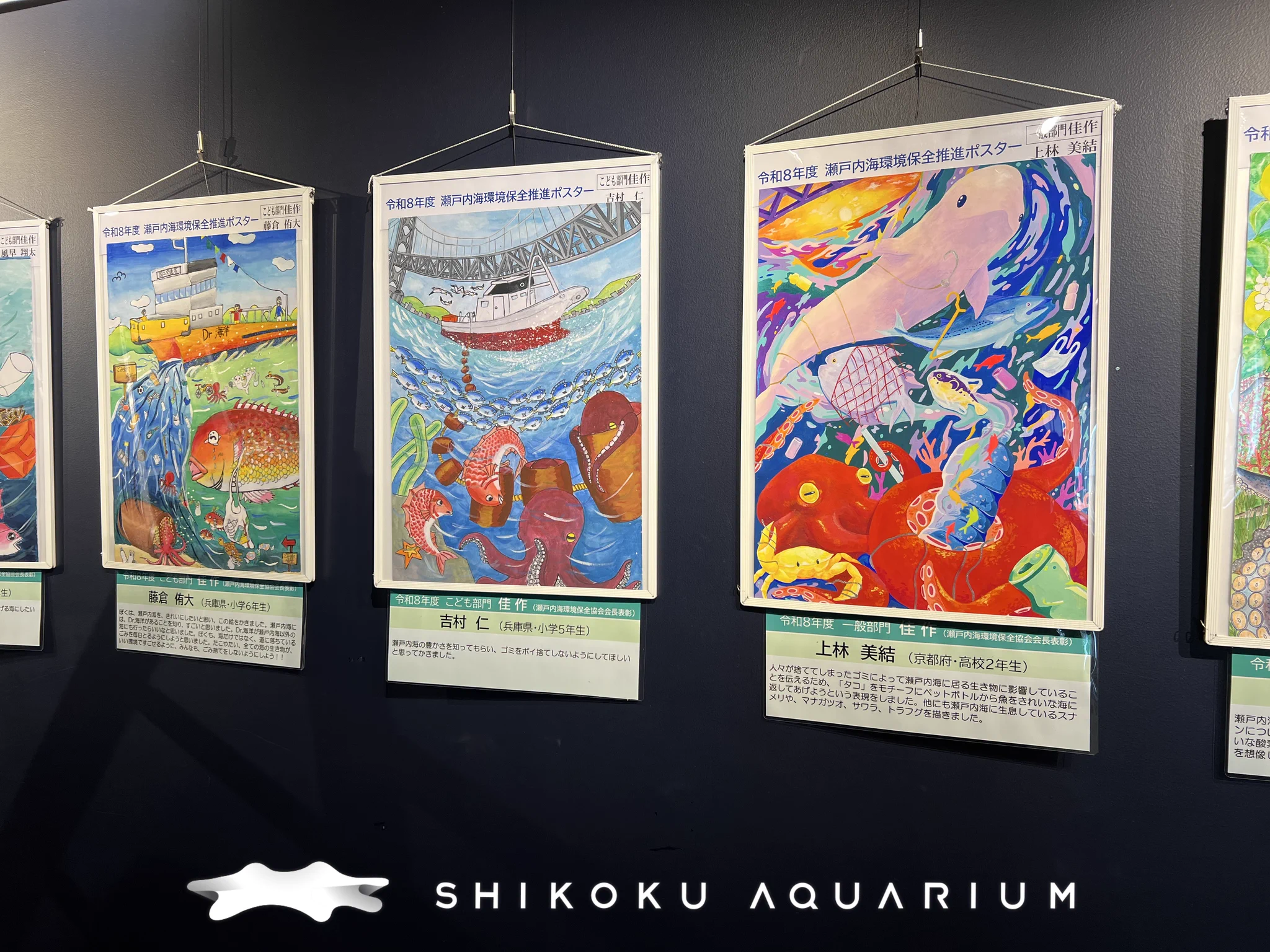 四国水族館 【公式】 on X: 