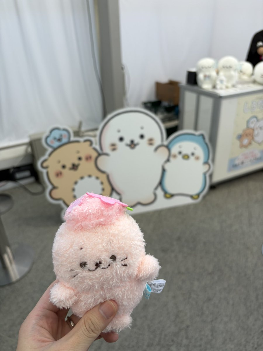 bupopope's tweet photo. テレ朝しろたんストアも！
#しろたん 
#もっちり系あざらし
#しろたんとゴーちゃんのコラボ求 https://t.co/V6Ld7cTJXQ