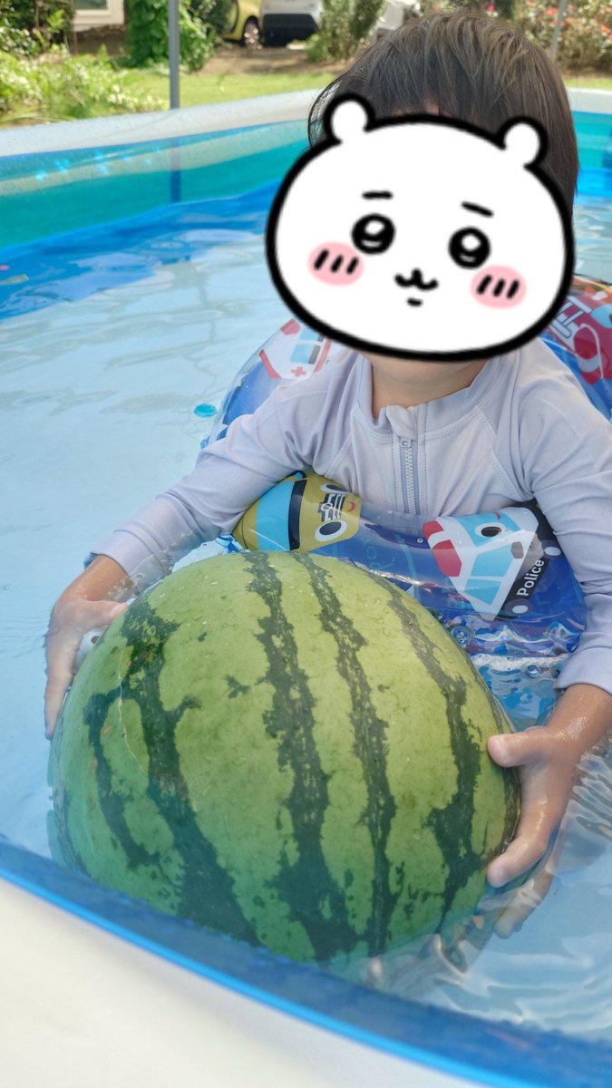 EBIBI2's tweet photo. プール＆収穫🍉 https://t.co/Ahygdcxrkg