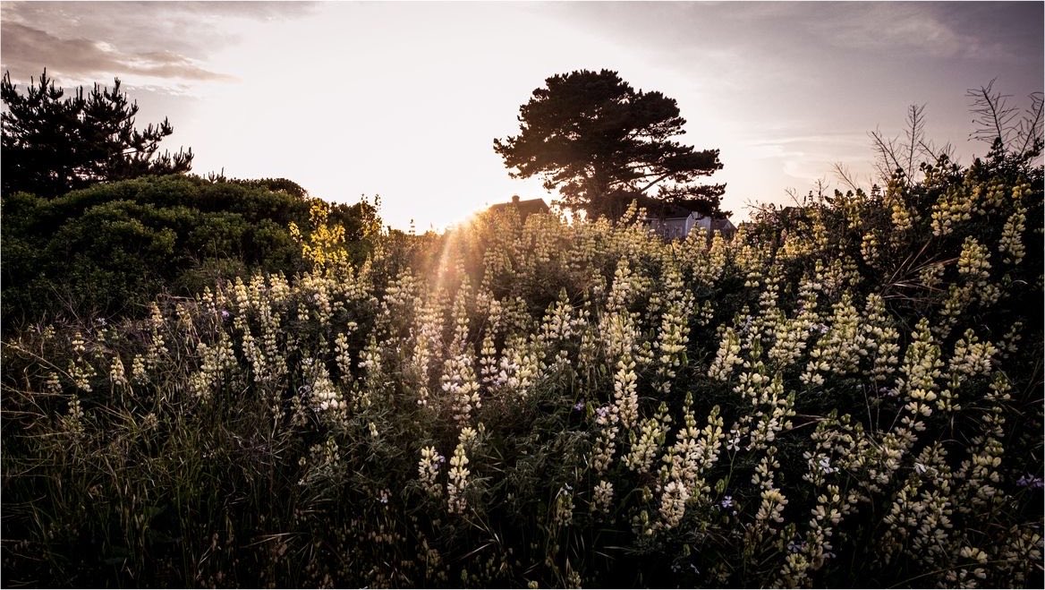 jnumping's tweet photo. There is a certain poetry in watching the world awaken slowly, wrapped in gentle light and delicate silence, as though every new morning is an invitation to begin again. https://t.co/SwLxhN8f24