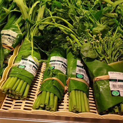 AMAZlNGNATURE's tweet photo. A supermarket in Thailand started wrapping vegetables in banana leaves instead of plastic

The simple idea uses a natural material that has wrapped food in Southeast Asia for generations https://t.co/ZobJEx5gqg