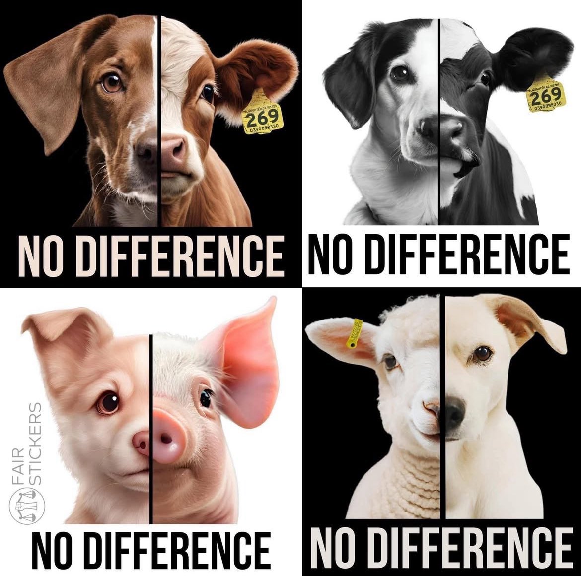 PieterseMarc's tweet photo. #LiveVegan ✌️ https://t.co/GdS1ttlkKA