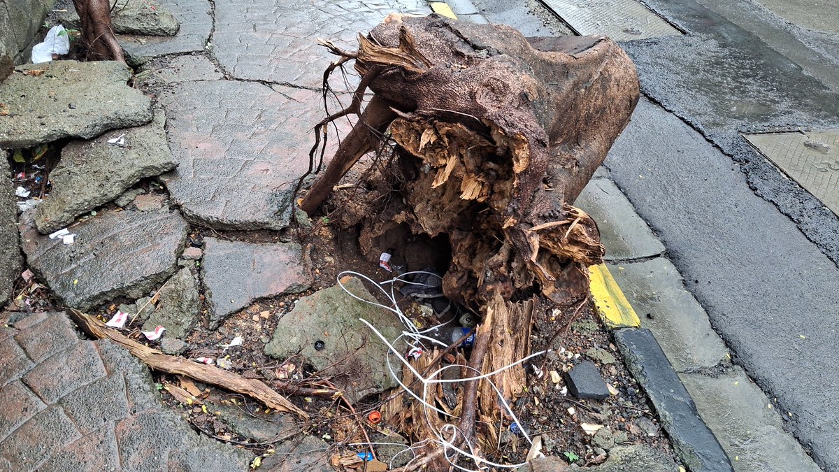 sonia_mehta07's tweet photo. @mybmcWardPS @mybmc @mybmcSWM there is footpath only on one side of Mohan Ghokhle Road Goregaon east which is damaged in several places, there is a tree stump left on it for more than a month which makes it difficult to walk kindly help. https://t.co/4KGGoaimCB