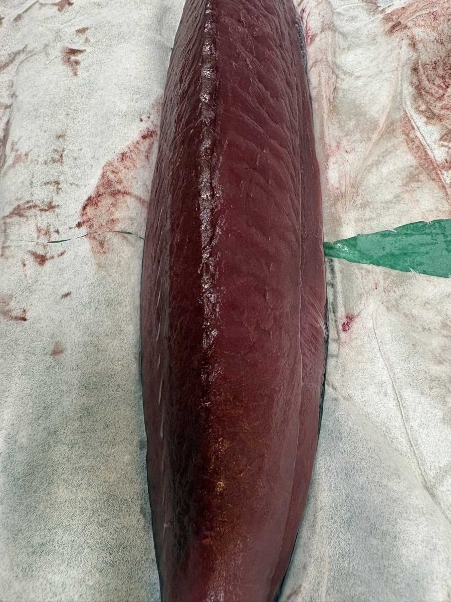 TemaeItamae's tweet photo. 本日の魚たち

帰ってきてから仕込みに追われて写真��あげ忘れていました。

活うなぎ
真鯛
メジマグロ
岩ガキ
かつお
真鯵
水だこ
です。

お酒もいくつか仕入れました。
カウンターに飾っているこいつは『幻のスイカ』と言うものです。
変な形ですがメチャクチャ甘いです。 https://t.co/hjtjkNkepe