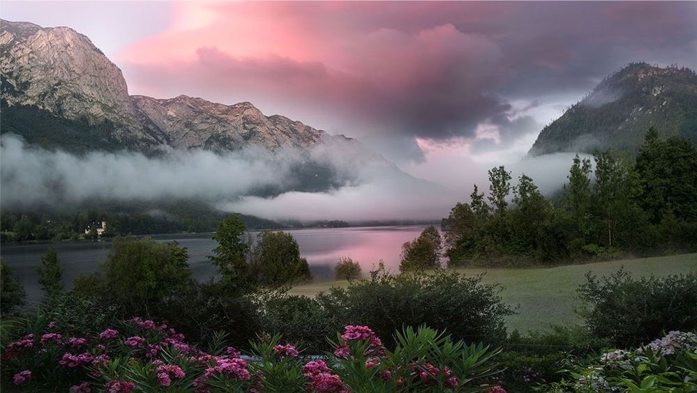 femcinim's tweet photo. Everything feels softer when touched by the last warmth of daylight, as though the world is quietly saying goodbye while leaving behind one final reminder of how beautiful existence can be. https://t.co/XcSqGUQgDv