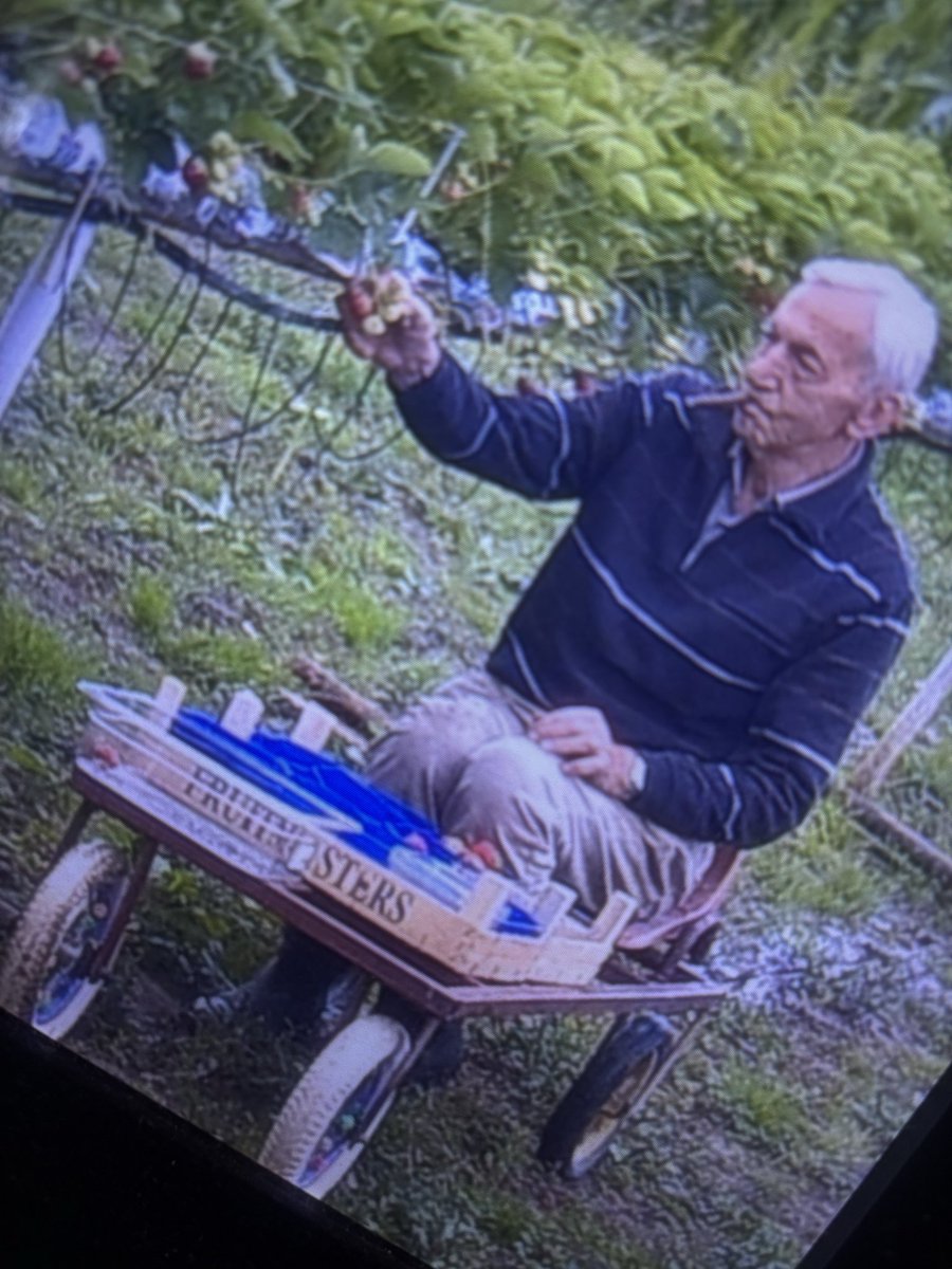 hoenderdal's tweet photo. Deze is voor jou papa.

https://t.co/igBZ64oRHD https://t.co/1TySp4HTHQ