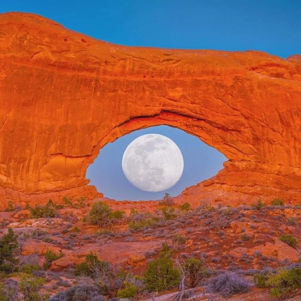 AMAZlNGNATURE's tweet photo. This is known as the “Eye of Utah”

It appears when the full moon lines up perfectly inside North Window Arch, creating the illusion of a giant glowing eye https://t.co/6jJ9JlpKqW