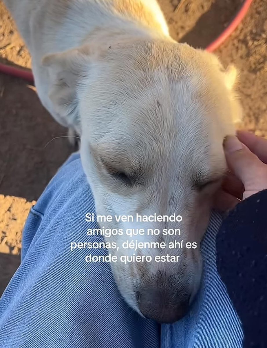 ojoscol0rsol's tweet photo. https://t.co/Wsl2hlCDvg