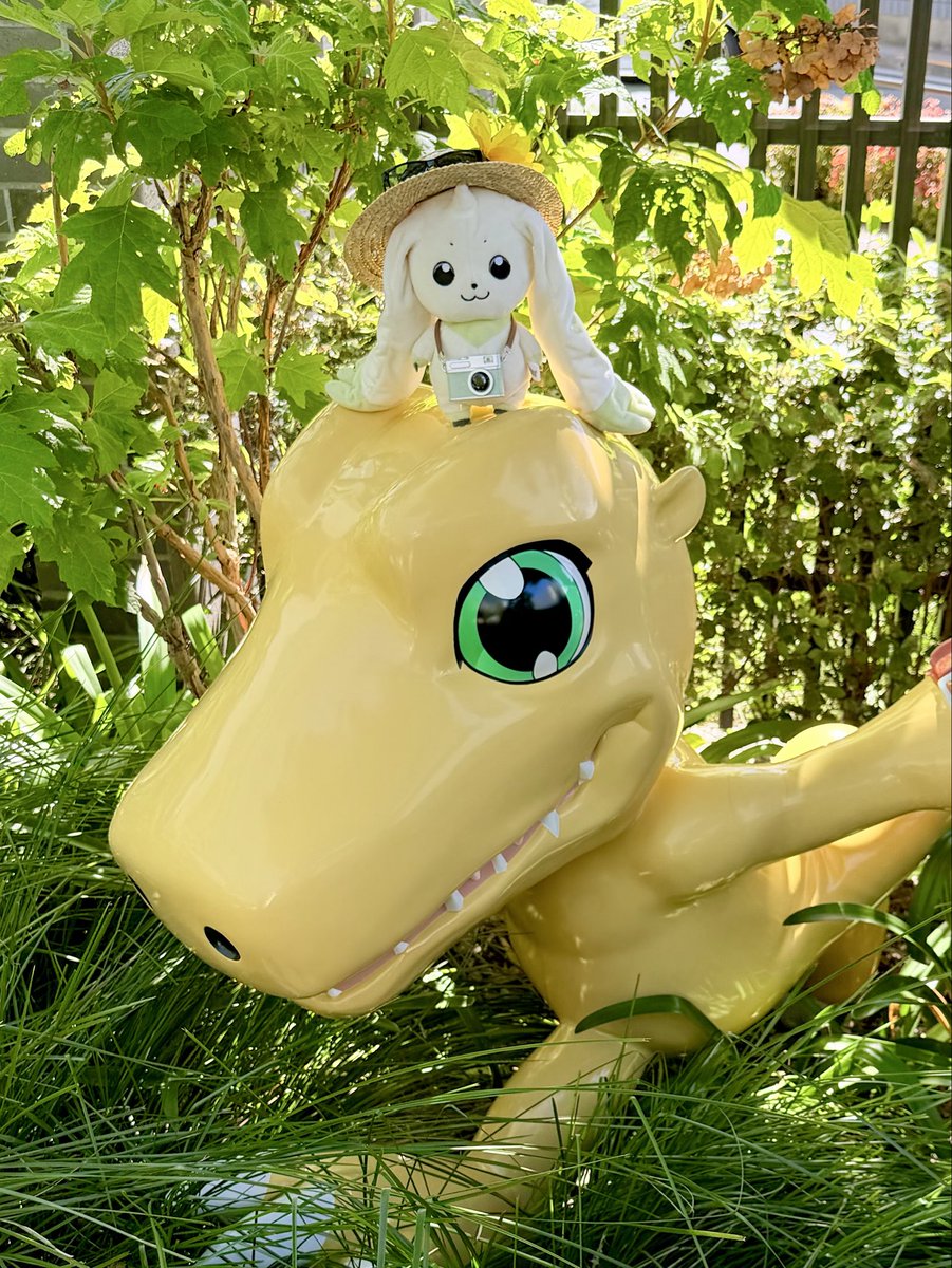 moririnnomori02's tweet photo. アグモンとパシャリ📸 https://t.co/TBKsSWkjMf