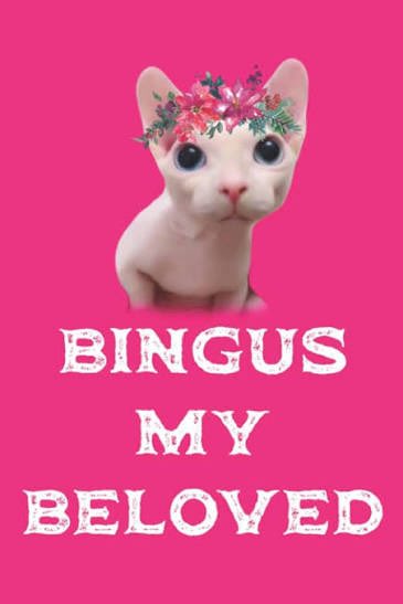 SemEltman7mp's tweet photo. My love Bingus https://t.co/BemkMeQaKz