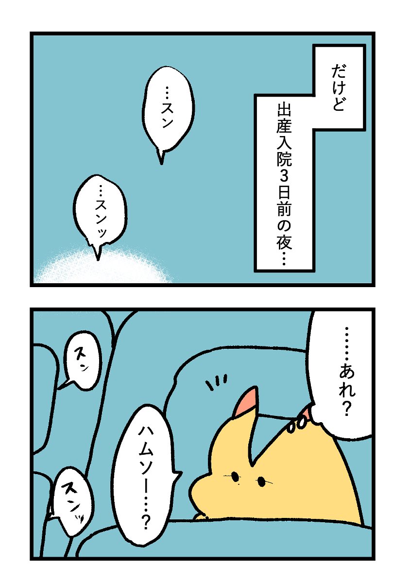 mosyamou's tweet photo. 第二子妊娠中、非常に「いい子」だった長男のお話🐹(1/5) https://t.co/EluTBAlO0y