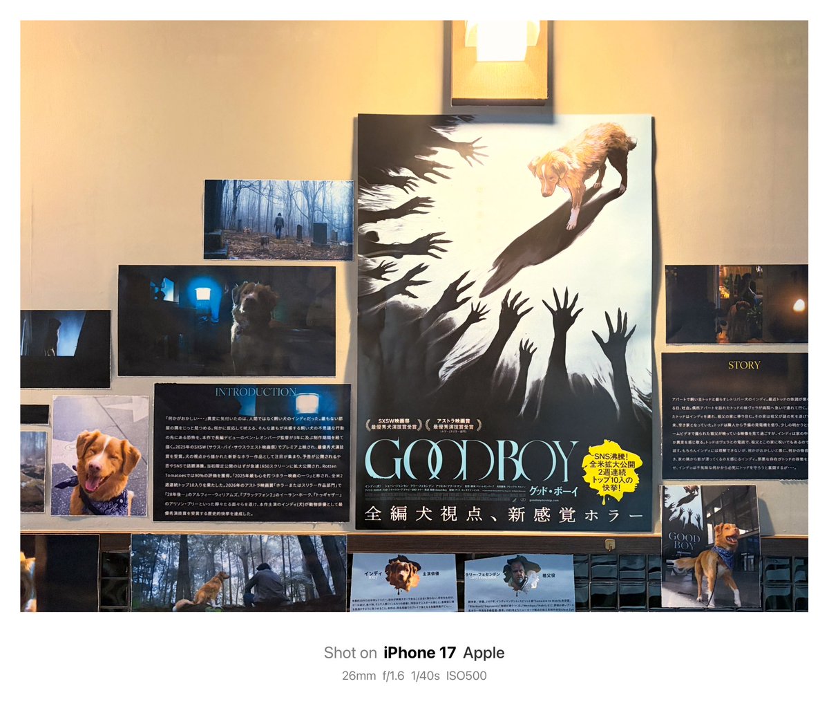 tabibito1965's tweet photo. 今日観た映画
「GOOD BOY」
JUL.29,2026
#今日観た映画 https://t.co/WLgnCc0aTz
