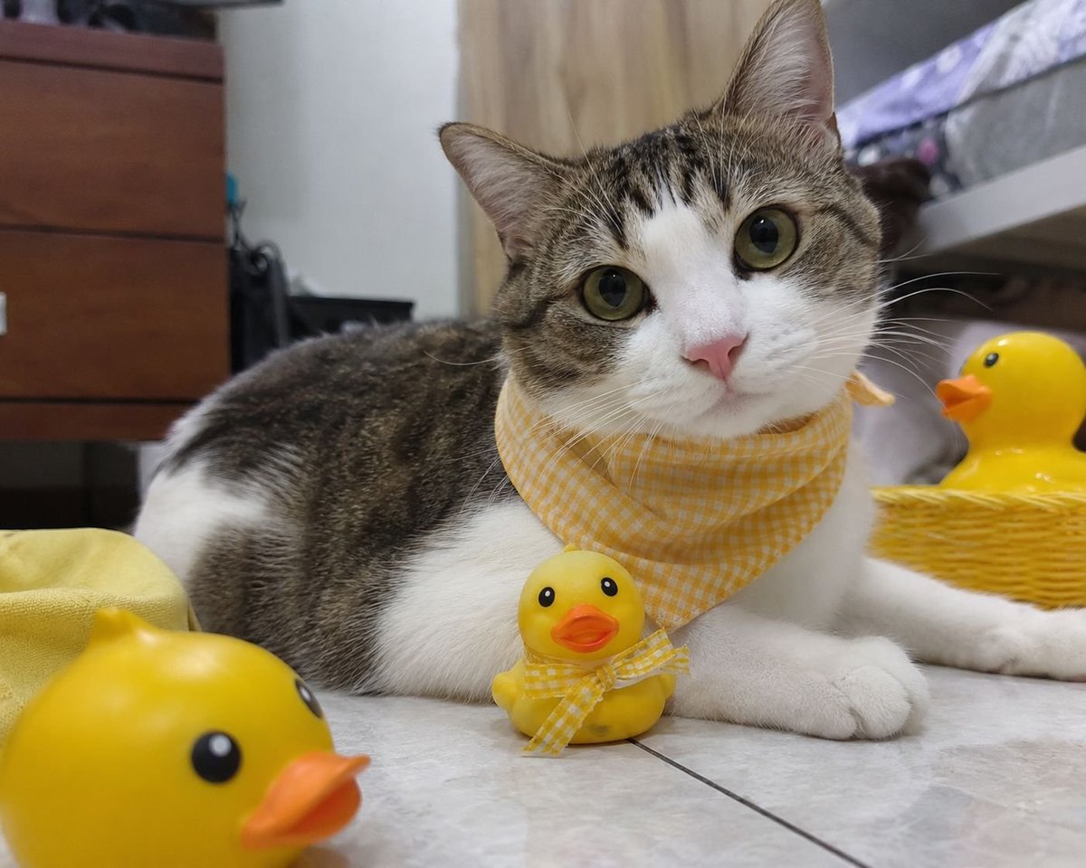 TyoApod's tweet photo. Do you think he's smiling? @binance https://t.co/ixdVkZSTDm
