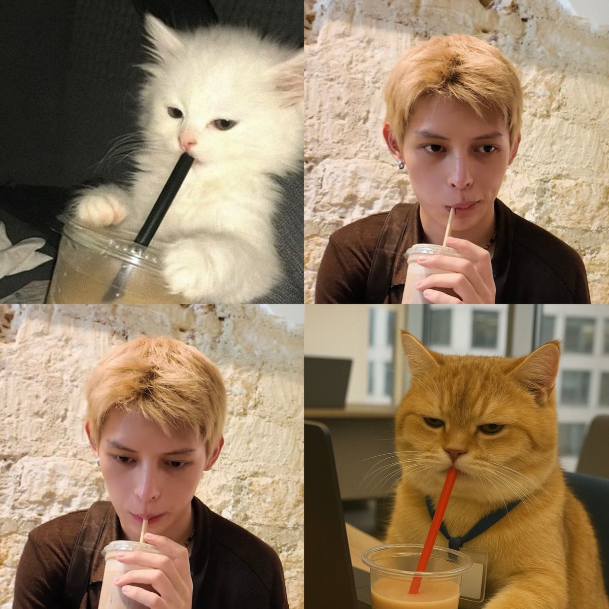 just_emma2005's tweet photo. atp, I can't tell if he looks like a cat or if cats look like him
#JAMES #제임스 https://t.co/4xadA4Ollb