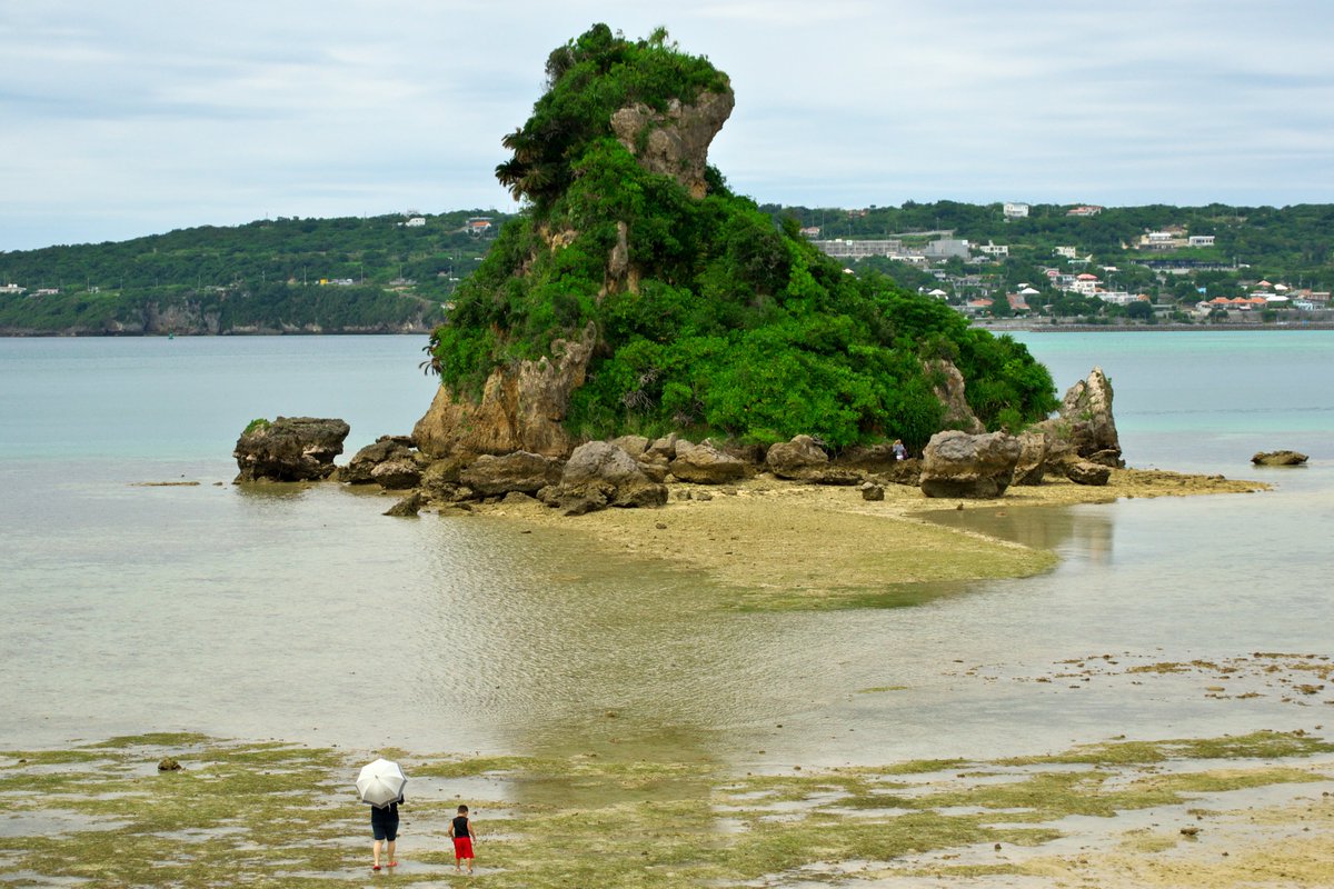 XicunXinre54871's tweet photo. 曇りだったので画像が暗めです。沖縄県北部、古宇利島へと渡る古宇利大橋の横にある、岩塊か岩礁かなんかそういうやつです。もっと、人が容易に来れない場所にあれば、野鳥の繁殖地になっていたりします。　＃古宇利大橋 https://t.co/lIbVROtrjW