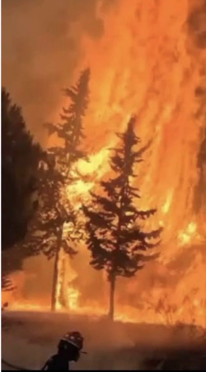 BezStraha26279's tweet photo. POŽARI BAŠ TAMO GDE SU RUDNICI !

DELIBLATSKA PEŠČARA GORI PORED KOVINA – TAMO GDE SE VADI UGALJ.

GABROVNICA KOD ZAJEČARA GORI – TAMO GDE SE PRIPREMA RUDNIK BAKRA I ZLATA.

SLUČAJNO?

ILI NEKO „ČISTI“ TEREN I ZA KOGA?

DOK HELIKOPTERI LETE I LJUDI GLEDAJU KAKO PEŠČARA I ŠUMA NESTAJU, NEKO VEĆ BROJI VEĆ BROJI KEŠ JER JE IMAMO NAJNIŽU RUDNU RENTU !

MANJA VREDNOST ZEMLJIŠTA. LAKŠE DOBIJANJE DOZVOLA

MANJE OTPORA 

POŽAR NIJE SAMO KATASTROFA

POŽAR JE I PRILIKA.
I DOK SE SVI PRAVE LUDI, PITANJE JE JEDNO:

KO ZARAĐUJE KAD SRBIJA GORI BAŠ TAMO GDE SE KOPA?