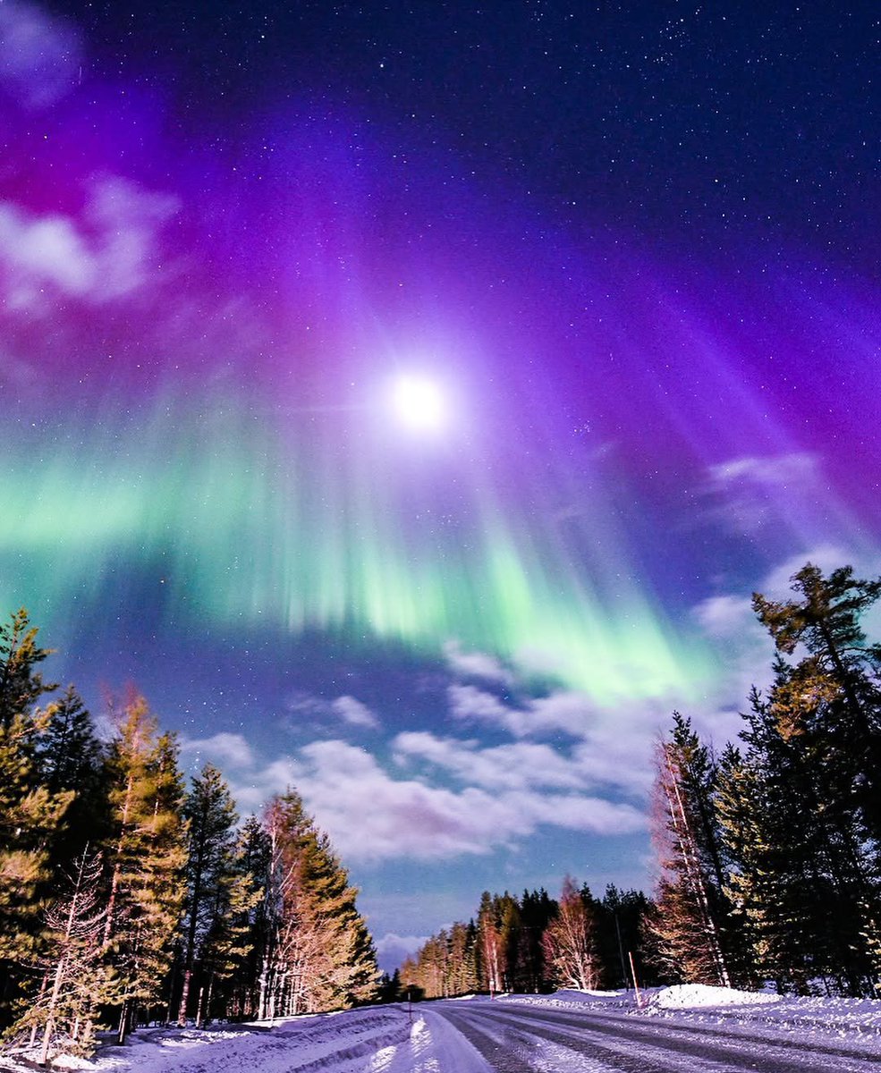 NatureAfterglow's tweet photo. “Lost somewhere between the stars and the aurora. ✨💜” https://t.co/CdugpnWB7a