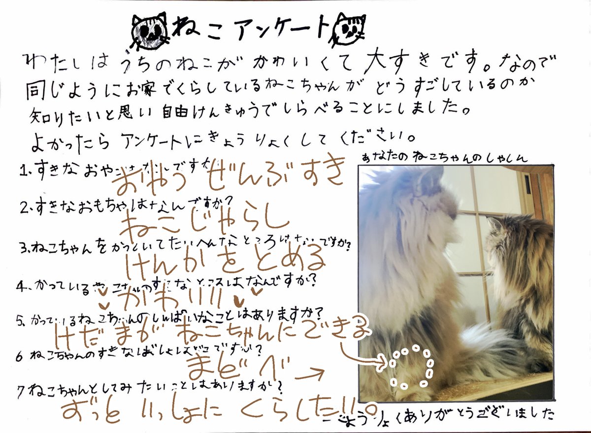 nacolat's tweet photo. RPの夏休みの猫ちゃん自由研究参加する～！って書いてみた！
けど、アンケ締め切ってた！
#世界猫の日 だしポストしておくにゃん。 https://t.co/mnohqQJyah