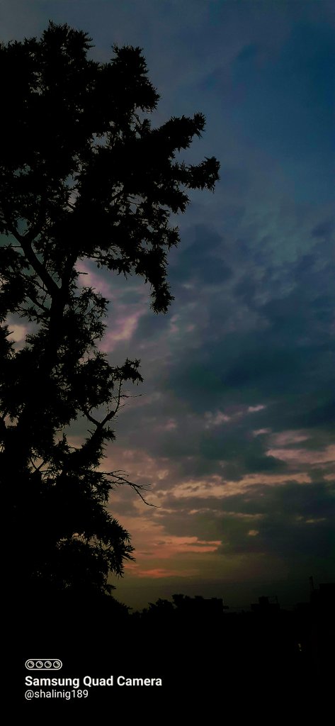 shalinig189_g's tweet photo. Anyone with photos of cloud 🌥💙 ✨️

Nature simply offers its Best, for free...!!!

Happy #SimpleSaturday 
#SilhoutteSaturday 
#theme_pic_India_clouds https://t.co/3nnigzyXVj