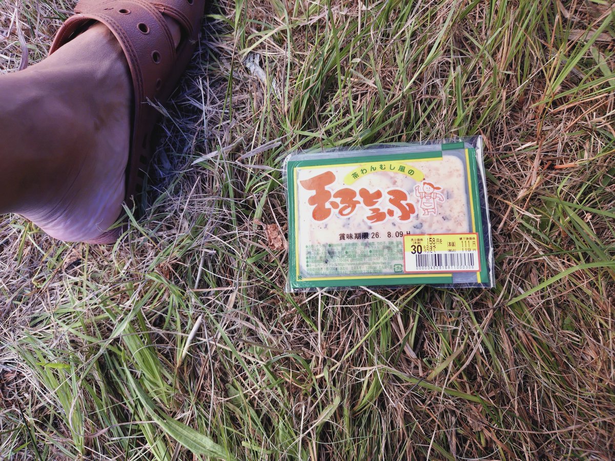 masamasads's tweet photo. おっさんが昼ねぶた後に
茶碗蒸し風の玉子とうふを食べるだけの
#簡単なお仕事 https://t.co/PIpXhvTLzf