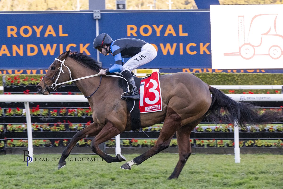 cwallerracing's tweet photo. ERNAUX flashes home under @G1TySchil for a brilliant win in Race 9 at Randwick. Congratulations to @resracingky on a terrific &amp; well deserved victory 👏👏👏 https://t.co/KZxaGCwF5K