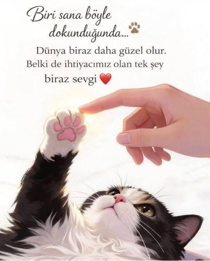 selim968's tweet photo. https://t.co/aB299vd5hv