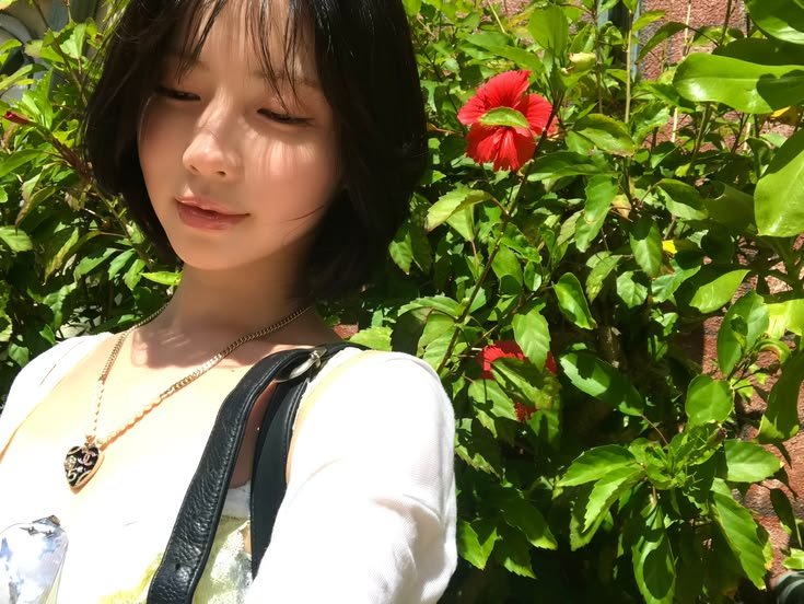 BITESYasa's tweet photo. a sunny day. ☀ https://t.co/4bki9B9ykd