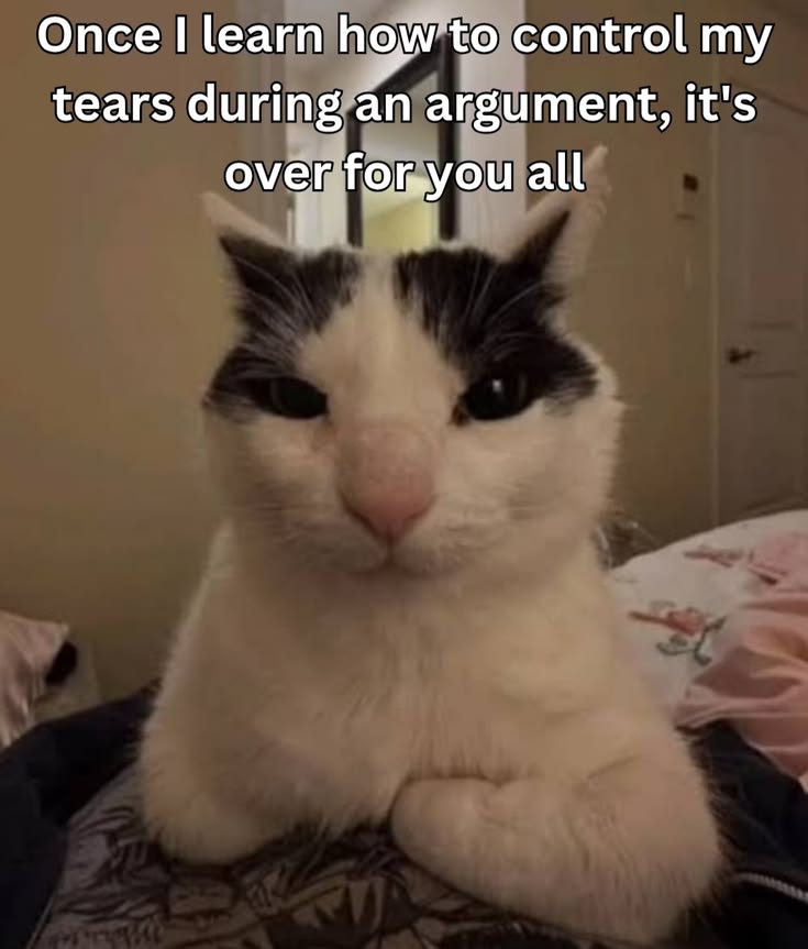 Meowversetwt's tweet photo. https://t.co/yvNBinkuqD