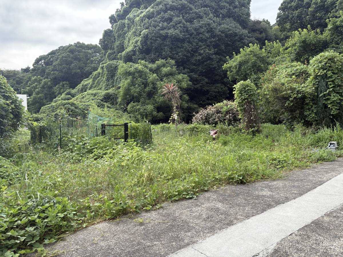 MAT_TUN3rd's tweet photo. 跡形もなく腐海に呑まれた旧部室 https://t.co/qmT2u5C3wE