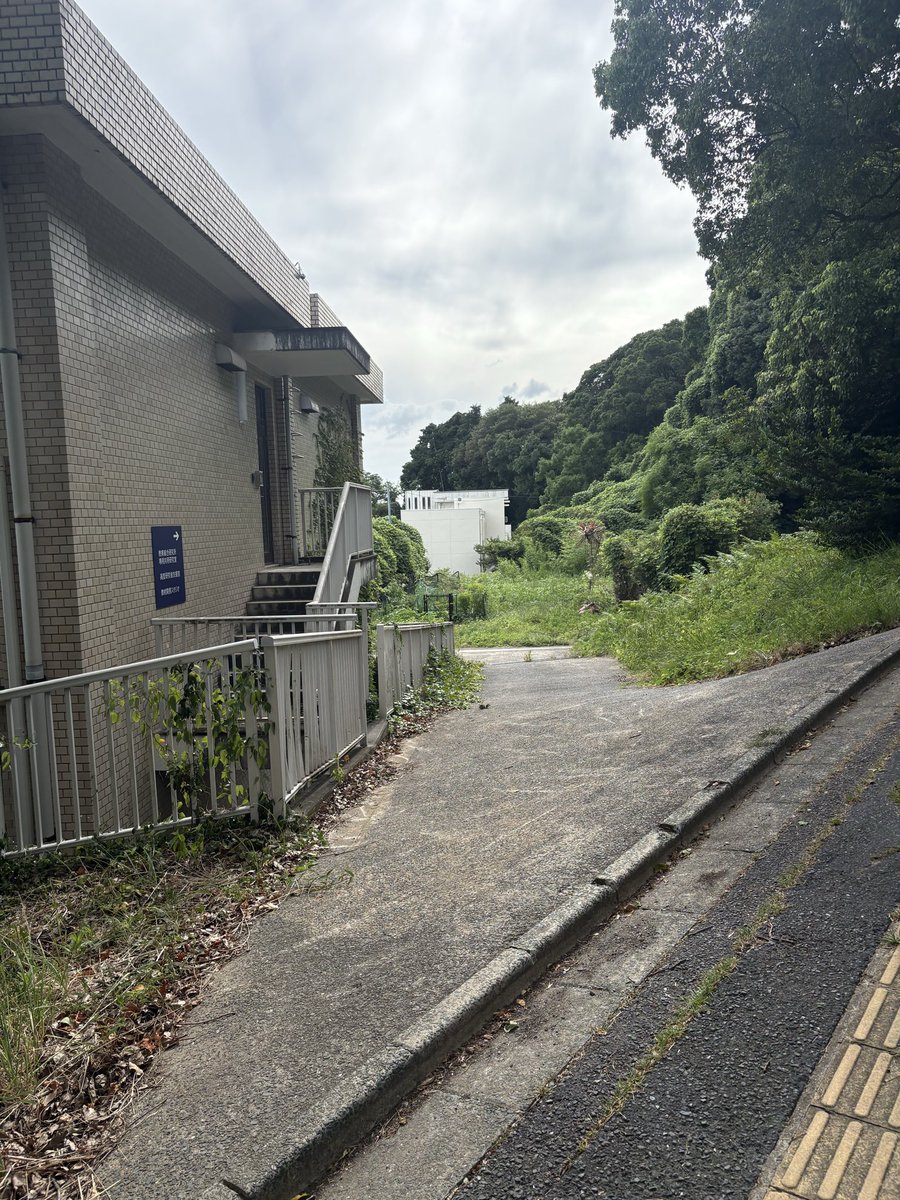 MAT_TUN3rd's tweet photo. 跡形もなく腐海に呑まれた旧部室 https://t.co/qmT2u5C3wE