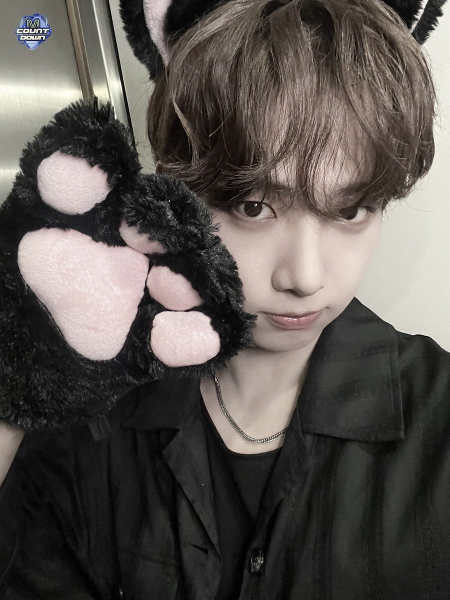 jaeehyunn__'s tweet photo. 세계 고양이의 날 기념 띵냥이 . . ~ ₍^. .^₎⟆❤︎ https://t.co/9sUZwGTsYb