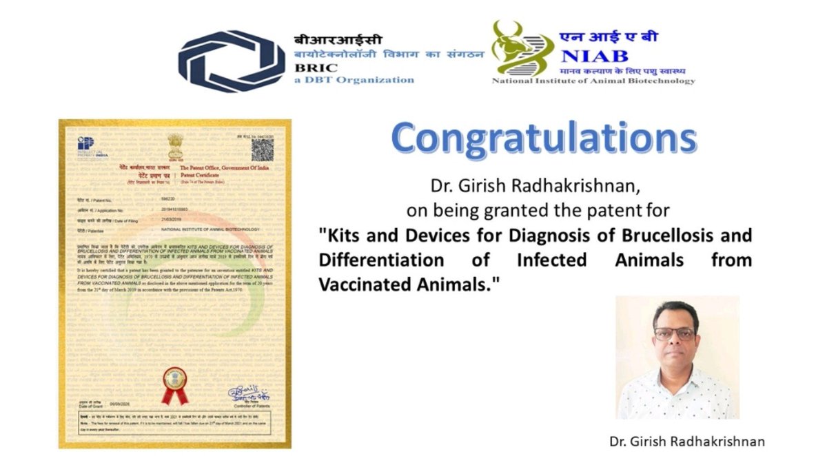 HydNiab's tweet photo. New Patent!
BRIC-NIAB has been granted a patent for “Kits and Devices for Diagnosis of Brucellosis and Differentiation of Infected Animals from Vaccinated Animals.”
Developed by Dr. Girish Radhakrishnan and team. https://t.co/HOFtgwpPNL