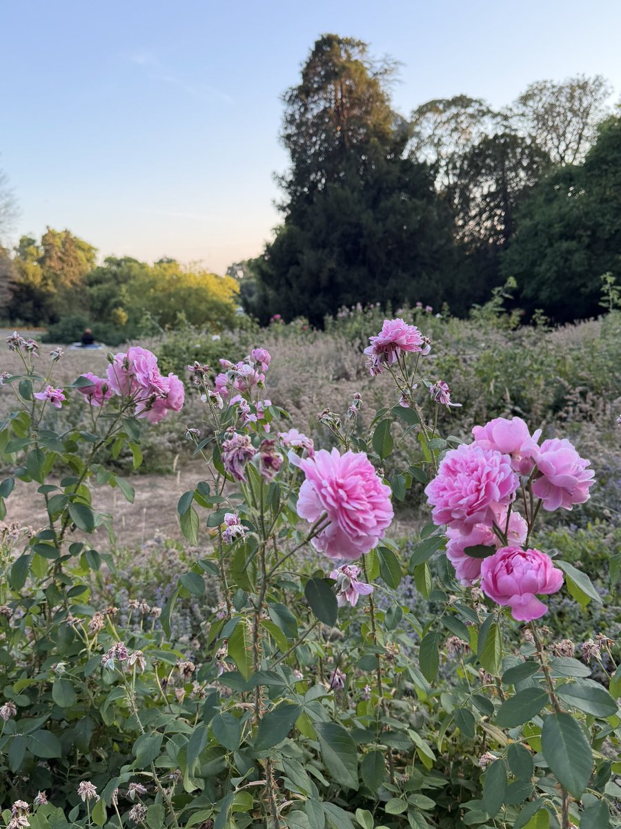 apblackwell's tweet photo. @MyRichmondLdn @LBRUT @Visit_Richmond1 Out and about in #richmond #swlondon https://t.co/LuSXxjapK2
