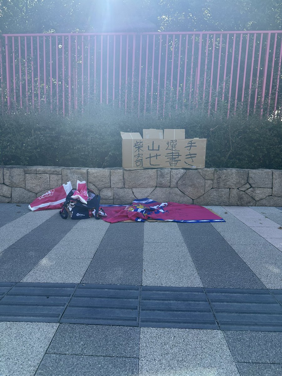 donchan_crz's tweet photo. キッズパーク周辺でお待ちしてます！
 #俺たちのシバ
 #シバと一緒に 
 #拡散希望 https://t.co/gexrzQycam